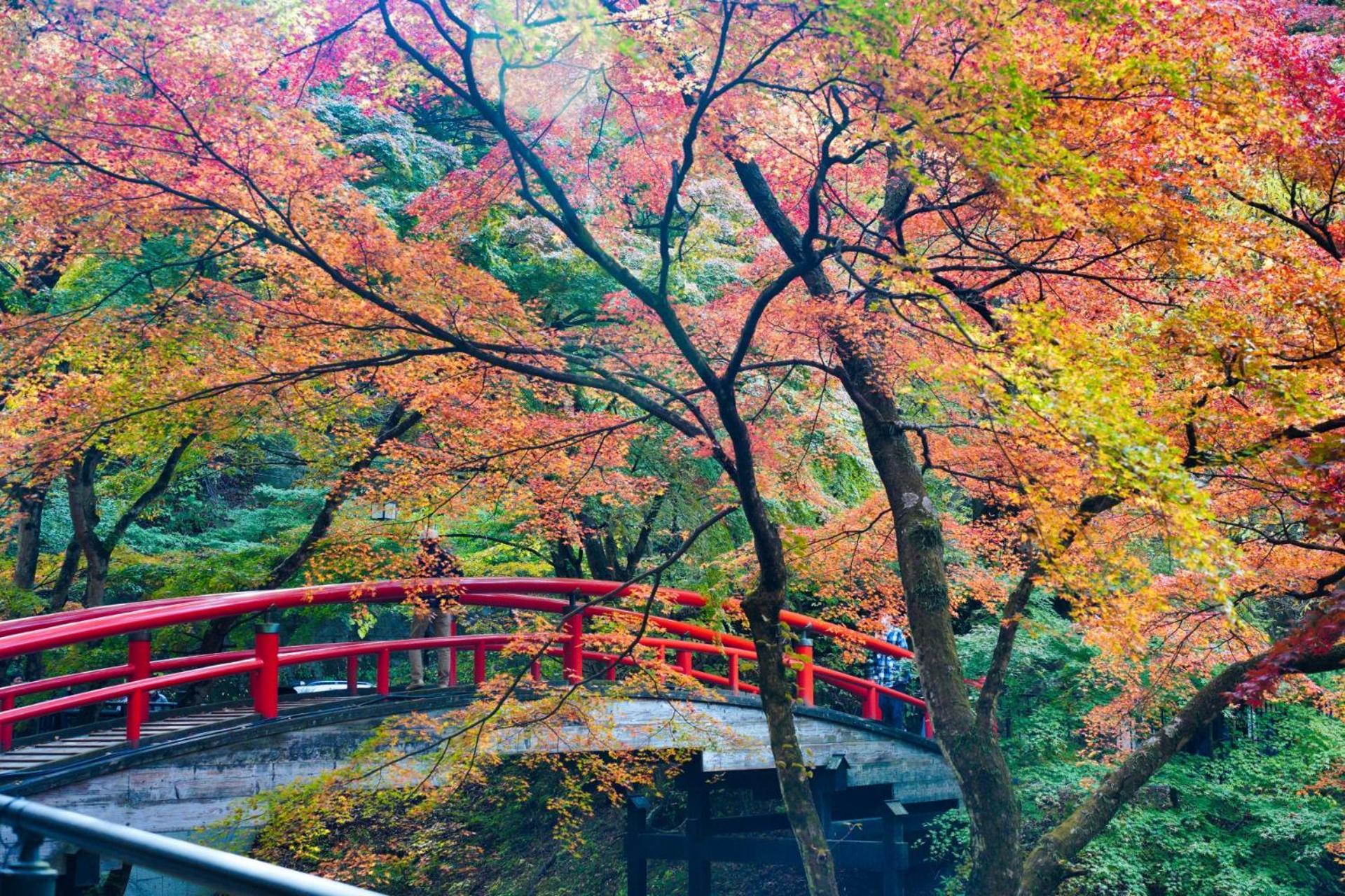 Chigira Jinsentei Hotel Shibukawa Bagian luar foto
